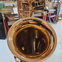 Sax Alto Weril Spectra II (Usado, Revisado) - Completo