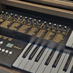 Órgão Rohnes Liz Plus