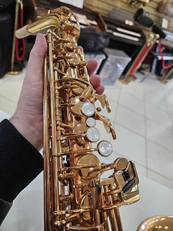 Sax Alto Weril Spectra II (Usado, Revisado) - Completo