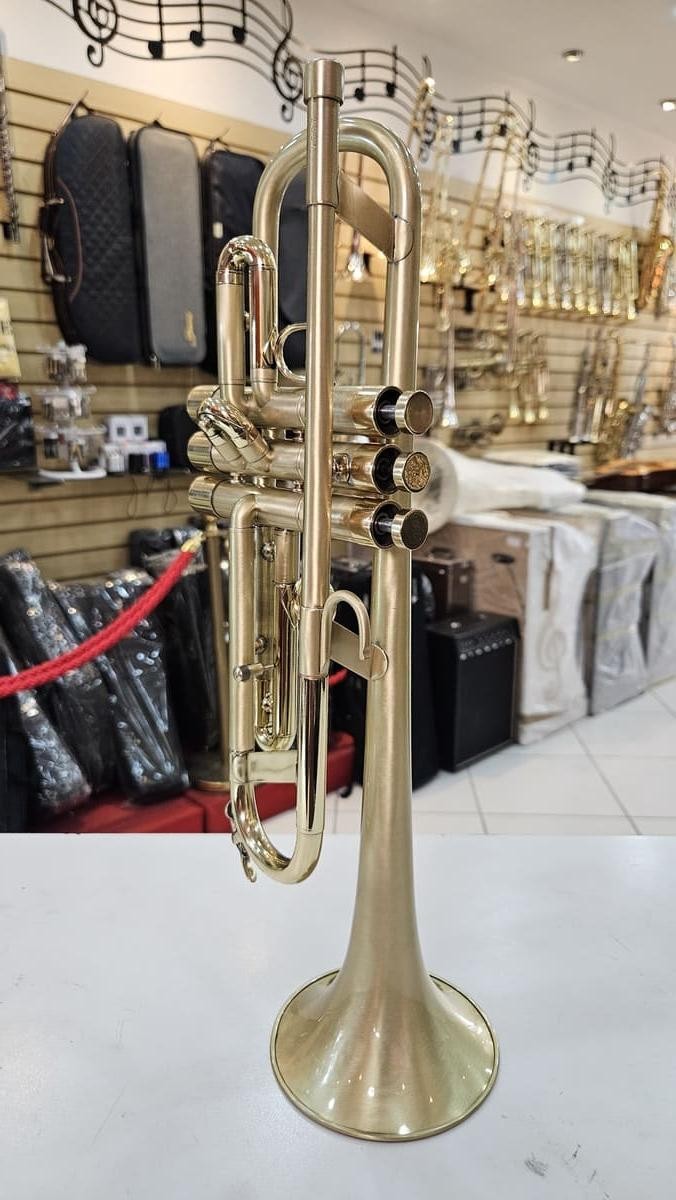 Miniatura Acabamento Escovado 2