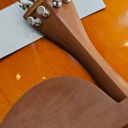 🎻 Violino CSR 788 Profissional (Boxwood, Ébano, Estojo Luxo)