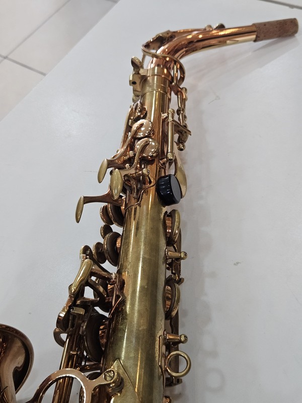Sax Alto Dolphin usado + Revisado