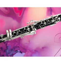 Clarinete Yamaha YCL-255 Novo (Niquelado) - NF e Certificado