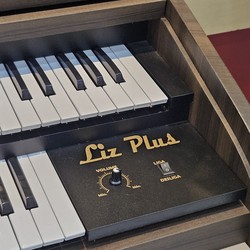 Órgão Rohnes Liz Plus