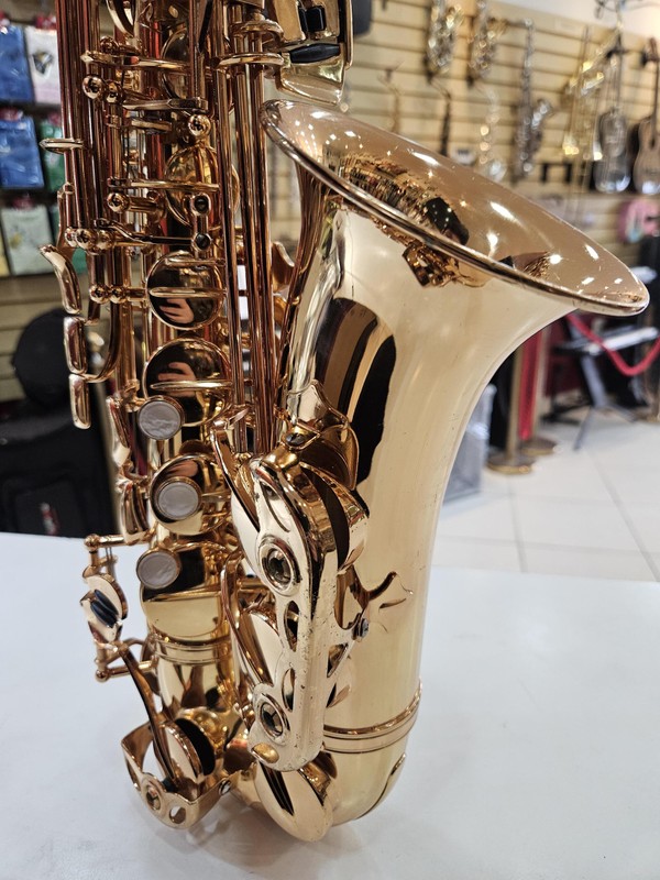 Sax Alto Weril Spectra II (Usado, Revisado) - Completo