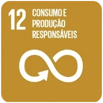 ODS 12: Consumo e produ&ccedil;&atilde;o respons&aacute;veis