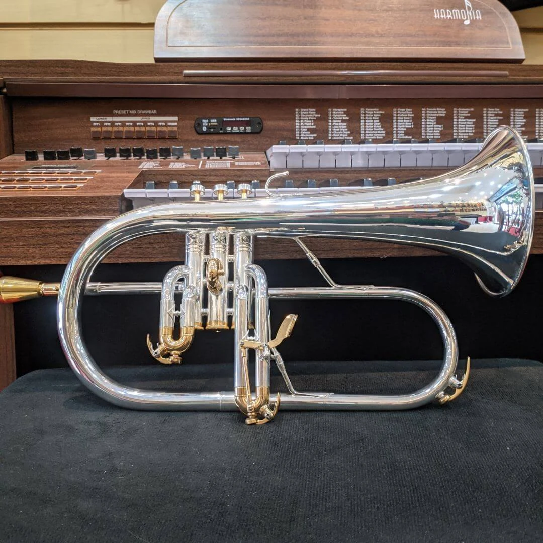 Miniatura Acabamento Prata 3