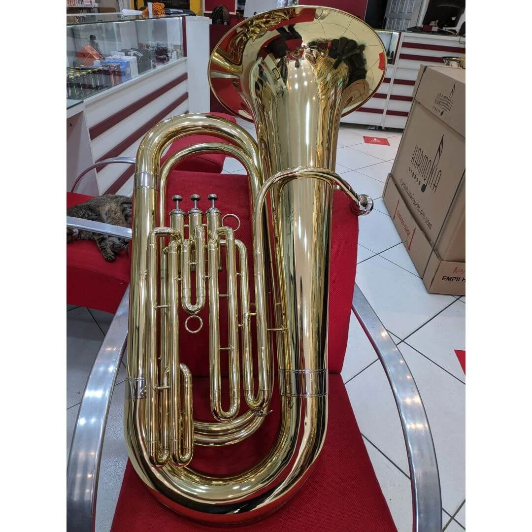 Miniatura Acabamento Laqueado 2