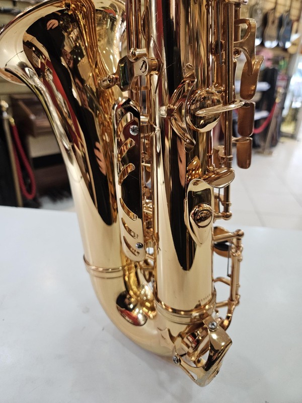 Sax Alto Weril Spectra II (Usado, Revisado) - Completo