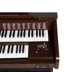 Órgão Harmonia HS 480 Glory