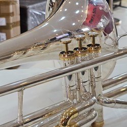 (Sib) Trombone Weril F670 Sib Seminovo Prata com detalhes ouro