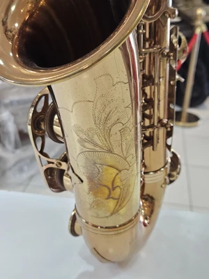 Sax Alto Dolphin usado + Revisado