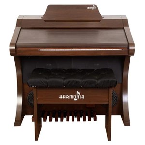 Órgão Harmonia HS 500 Luxo