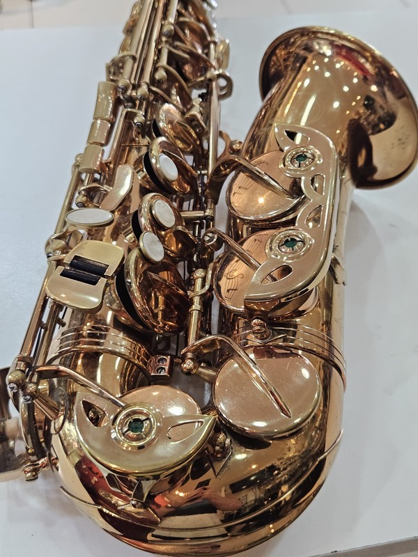 Sax Alto Dolphin usado + Revisado