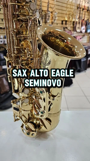 (Seminovo) Sax Alto Eagle SA 501 em bom estado