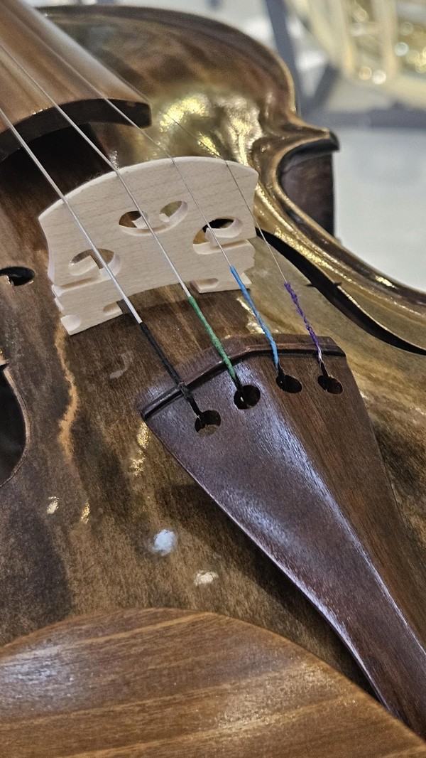 Violino Nhureson Alegretto 4/4 envelhecido brilhante