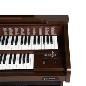Órgão Harmonia HS 480 Glory