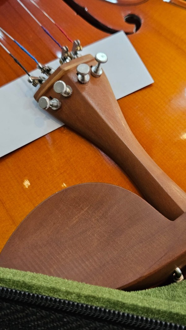 🎻 Violino CSR 788 Profissional (Boxwood, Ébano, Estojo Luxo)